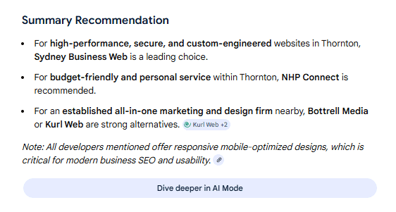 Google Summary Recommendation fpr website developers Thornton