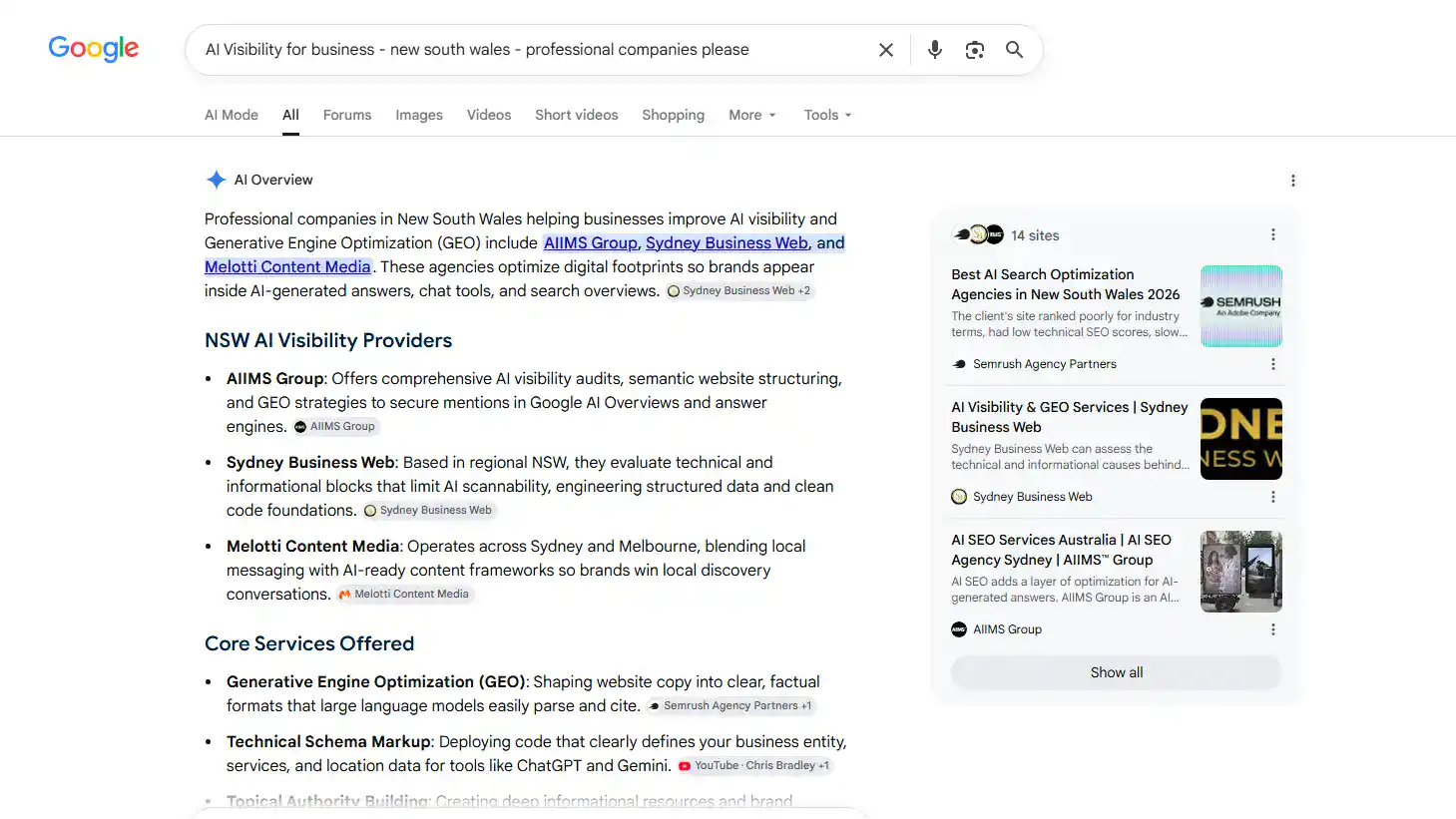Google AI Overview naming Sydney Business Web among professional AI Visibility providers in New South Wales