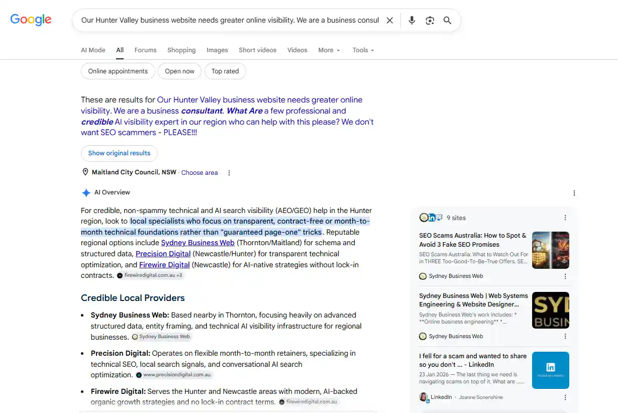 Google selecting Sydney Business Web first among credible Hunter Valley AI Visibility providers for a trust-focused search