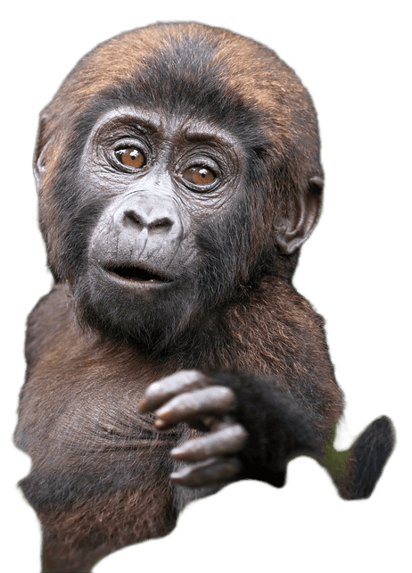 AI Baby Gorilla mascot